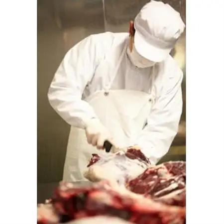 【早川ジビエ】ペット用鹿肉100g×30パックセット【配送不可地域：離島】【1526689】