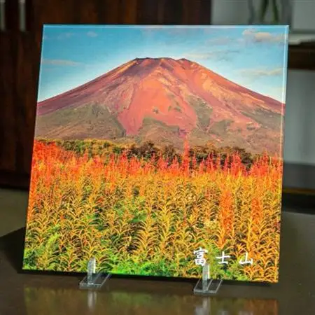 富士山アクリルパネル　30SQ　夏【配送不可地域：離島】【1542273】