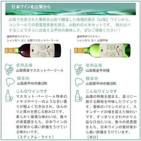 これぞ山梨 「GI山梨」認証ワイン 6本セット【配送不可地域：離島】【1607485】
