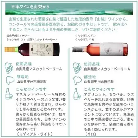 山梨ワイン 注目生産者の定番ワイン 6本セット【配送不可地域：離島】【1607486】