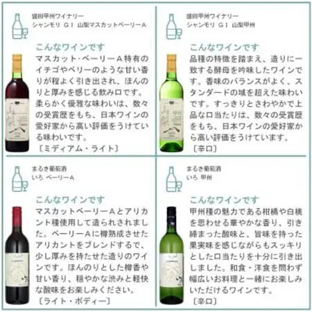 山梨ワイン 至極の12本セット【配送不可地域：離島】【1607490】