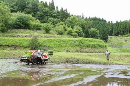 令和７年産 南小国町産のお米あきげしき １０kg 南小国産 精米 玄米 米 白米 お米 ご飯 産地直送 SMO南小国 熊本 阿蘇 南小国町 送料無料