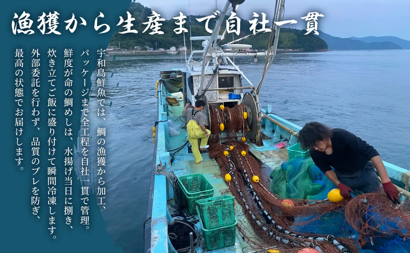 宇和島の鯛めし 1～2人前 8セット 宇和島鮮魚 鯛めし D026-200003