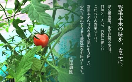 有機栽培ミニトマト 900g 6月～順次配送 ミニトマト
