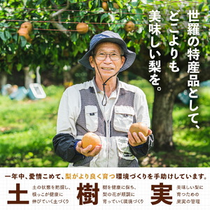 世羅豊水梨 3kg（美粧箱入））【先行予約・数量限定】世羅 大豊農園 豊水 梨 せら なし フルーツ 果物 くだもの 産地直送 新鮮 贈答 進物【2026年9月中旬以降順次発送】  A019-03