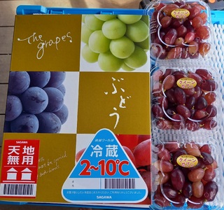 世羅産クイーンセブン粒パック 約900g(3パック)【数量限定】カナダ人農園主 ぶどう ブドウ クイーン セブン フルーツ 果物 くだもの 産地直送 世羅 ラピアビンヤード【2026年8月下旬以降順次発送】 A021-15