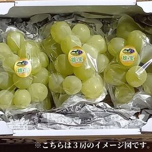 世羅産雄宝 約3kg（ご家庭用）【先行予約・数量限定】カナダ人農園主 ぶどう ブドウ  ゆうほう フルーツ 果物 くだもの 産地直送 世羅 ラピアビンヤード【2026年10月上旬頃より順次発送】 A021-26