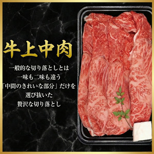 牛肉 切り落とし 700g 阿波黒牛 希少部位入り ドリームチーム