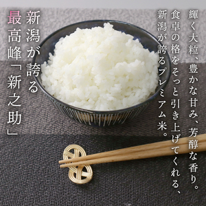 【先行予約】令和8年産 新之助 10kg 新之助 5kg 2袋 kwsSS