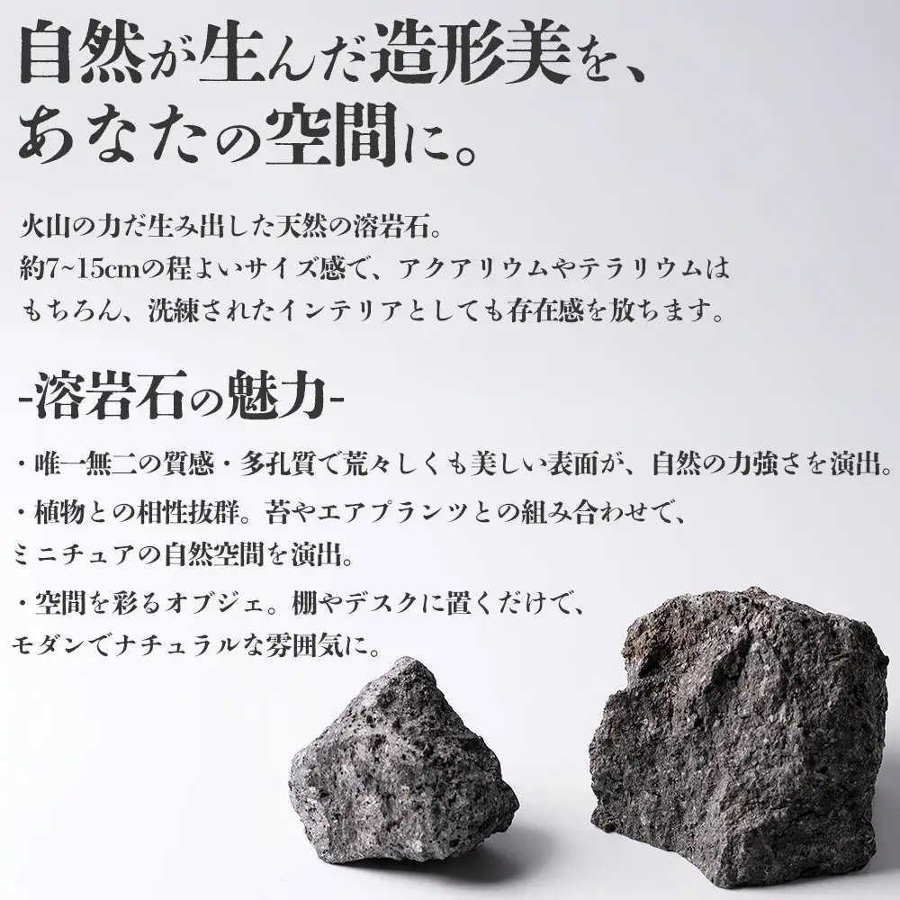 阿蘇溶岩石 サイズはお任せ3kgセット