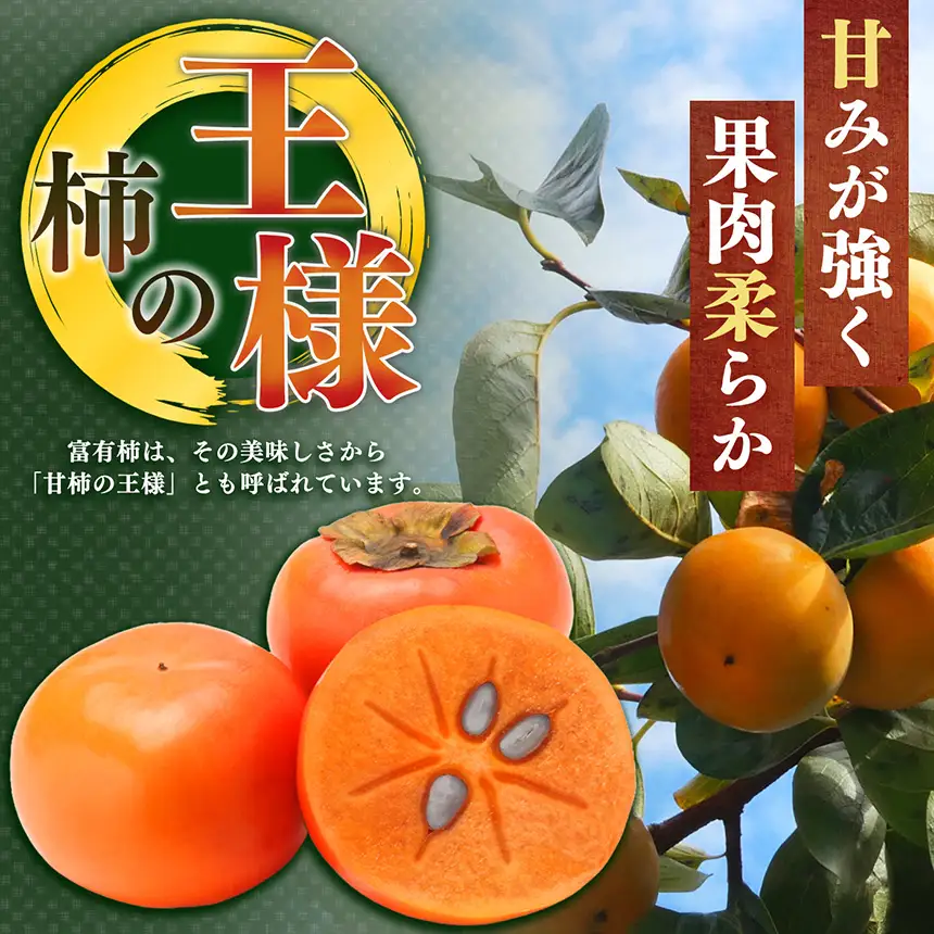 【訳あり品】先行予約 令和8年11月中旬順次発送 富有柿 ( 28個 ／ 6kg ) 1箱 | さのっち農園