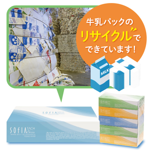 0012-107-01 マスコー製紙 ソフィアタッチ エテルノ ティッシュペーパー 150組×5箱×12パック (60箱)
