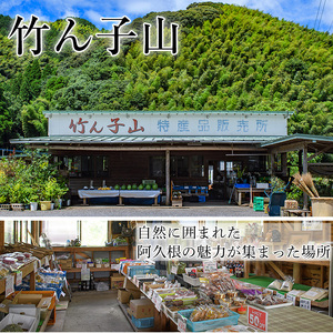 ＜先行予約受付中！2027年1月上旬以降順次発送予定＞竹ん子山のサワーポメロ(約4.5kg) 国産 鹿児島県産 阿久根産 柑橘 果物 フルーツ 果実 期間限定 【竹ん子山】akn097-12