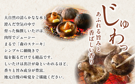 北海道の自然で育った 極撰 肉厚しいたけ1kg HOKBA001