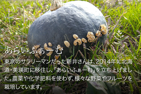 季節の野菜セット（大）＆にんにくマヨネーズ あらいふぁーむ