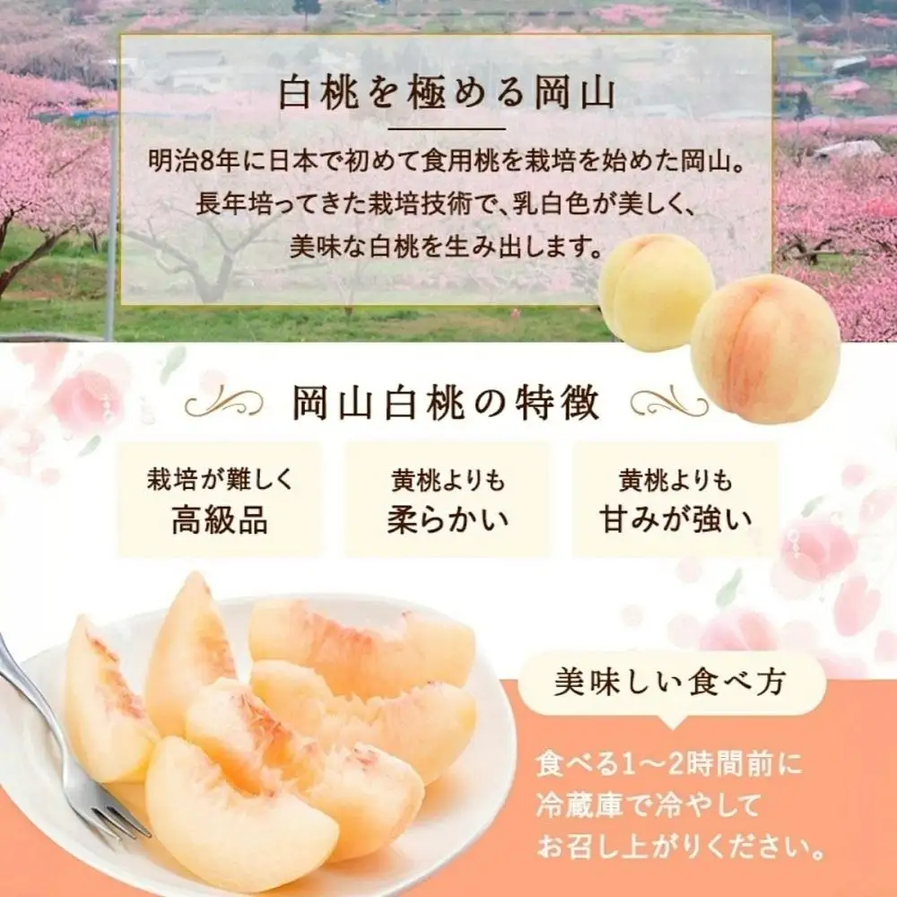 岡山白桃2玉（約500ｇ）＆シャインマスカット晴王1房（約500ｇ）化粧箱入