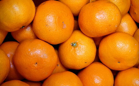 【先行予約】有田の旬の食べごろみかん約10kg（サイズ混合）※2026年11月下旬～2027年1月中旬頃順次発送【TM-tecj1043】 