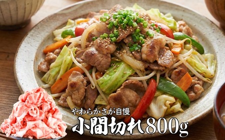 豚肉 牛肉 2種セット 計1.7kg