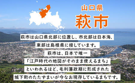 山口県萩市への応援寄付金[返礼品なし] 15,000円分