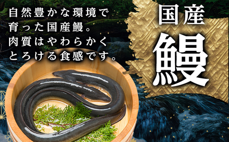 【丑の日】職人手焼きの本格うなぎ蒲焼き1尾≪7月20日～25日お届け≫〔LG8-33-003-1-UG〕_(都城市) 鰻蒲焼 1尾 (150g以上) タレ付 国産うなぎの蒲焼き 特製たれ付き 冷凍 ウナギ かば焼き うなぎ 土用の丑の日