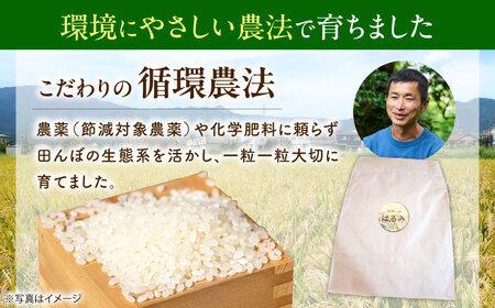 【令和7年産 白米】 はるみ 5kg 白米 はるみ[BDBF002-1]