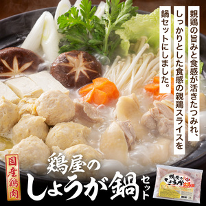 鶏しょうが鍋セット《 鍋 なべ 鍋セット 鶏肉 生姜 ショウガ 》【2401I16009】