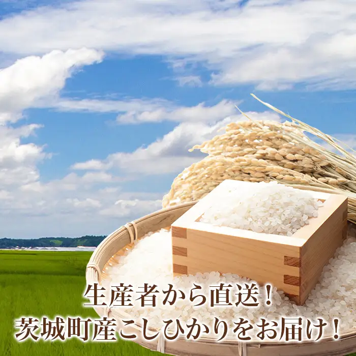 742 茨城県産 こしひかり 10kg (5kg×2袋) 令和7年産 精米【米農家もろちゃん】