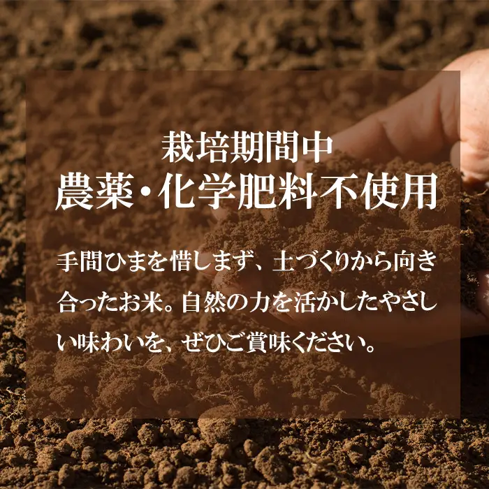 743 茨城県産 こしひかり 10kg (5kg×2袋) 農薬・化学肥料不使用 令和7年産 精米【米農家もろちゃん】
