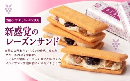 【シャトレーゼ】山梨県限定 レーズンサンド 6個×2セット 計12個 ／ スイーツ デザート お菓子 おかし おやつ ギフト 贈答 プレゼント お取り寄せ
