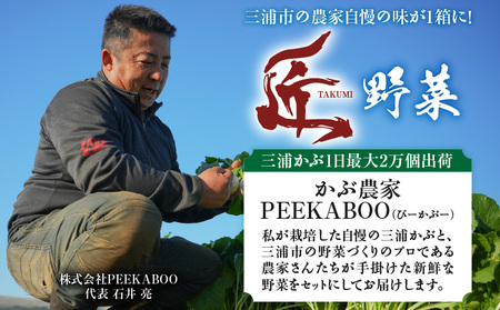 三浦の匠野菜 M127-001 野菜 季節の野菜 三浦かぶ