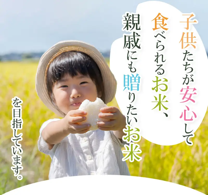 【令和7年産】【定期便】 山形 はえぬき 精米 5kg(5kg×1袋)×3ヶ月　山形県鶴岡市産　株式会社菜な八（鶴岡ファーマーズ）