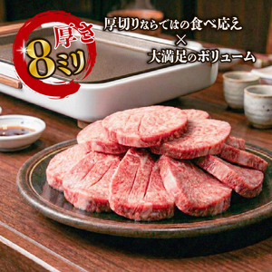 【2ヶ月/定期便】 牛タン 塩味 500g (250g×2) ＼ タン ／
