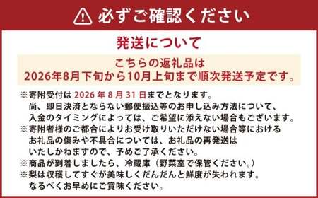 里山の恵み梨 約2.5kg 【2026年8月下旬発送開始】  なし ナシ 梨 フルーツ くだもの 果物 熊本