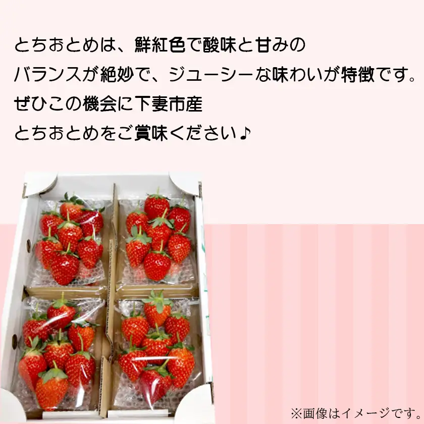 いちご とちおとめ 2L～3L 約1kg いちご 下妻市産 本州のみ配送