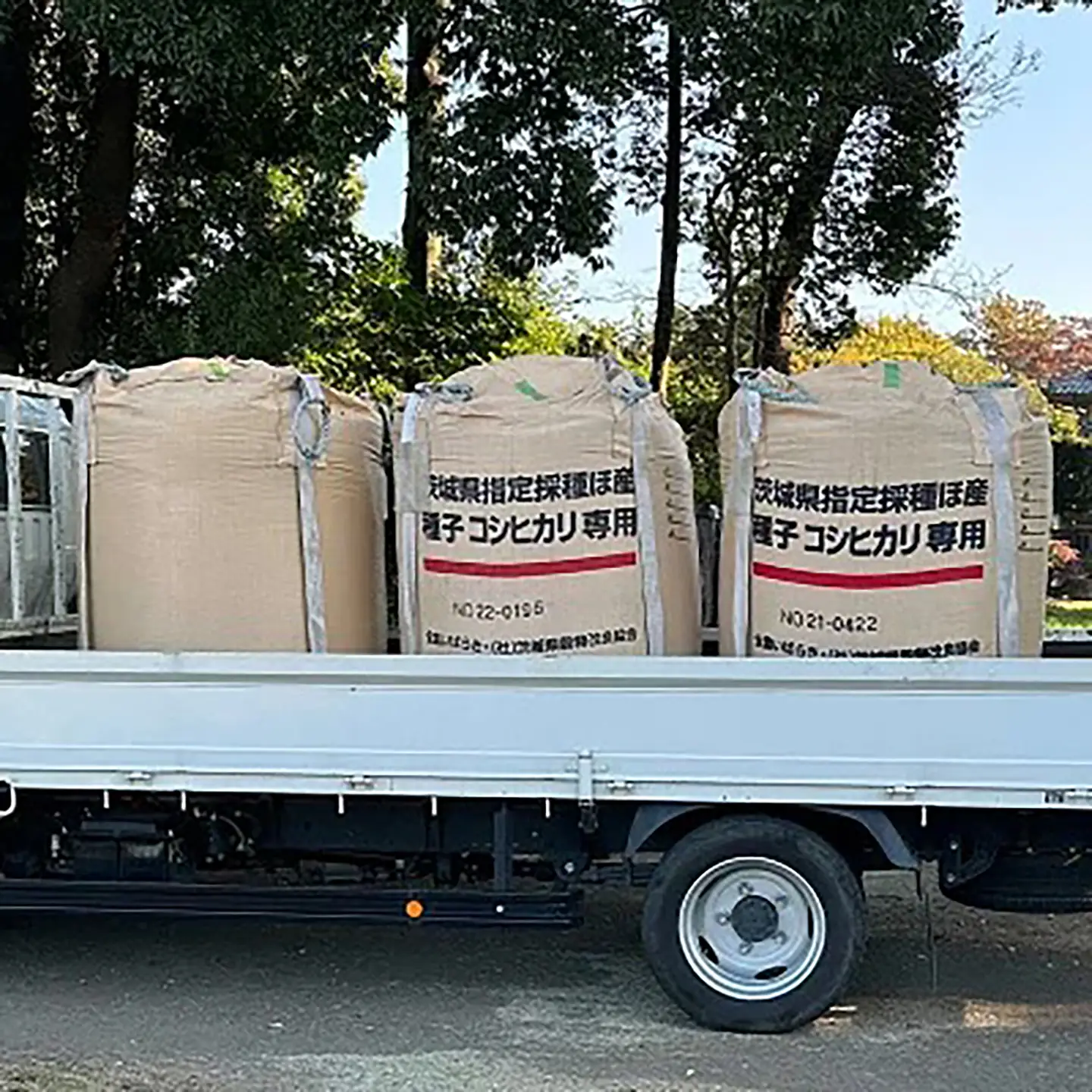 令和7年産 市左衛門農場コシヒカリ5kg(玄米) こしひかり