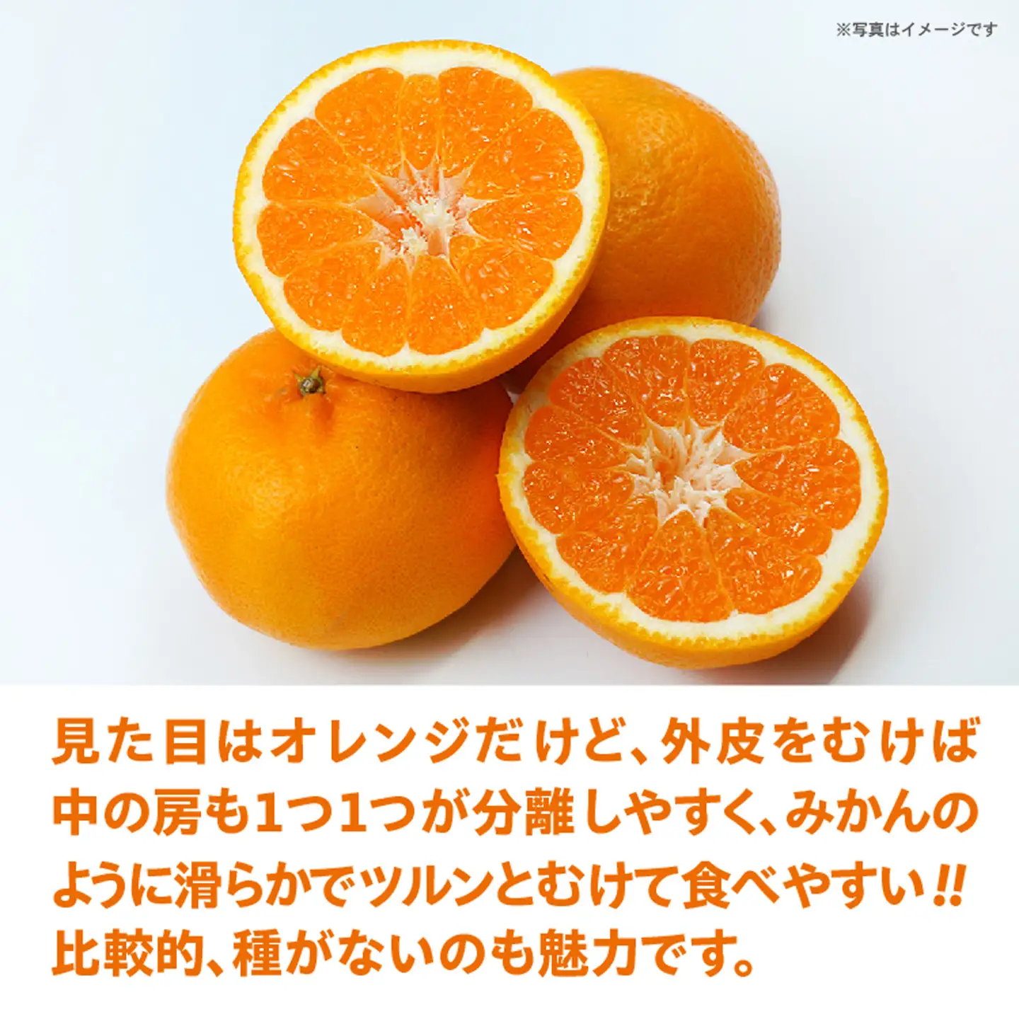 はれひめ 5kg 佐賀 みかん_b-499