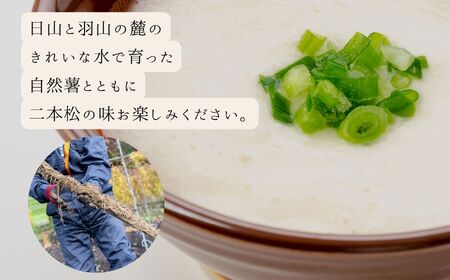 そば 6食 つゆ付｜そば