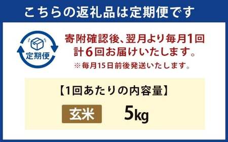 【6か月定期便】 玄米 野上米 5㎏×6回 計30kg 【2025年10月下旬より発送予定】 ヒノヒカリ 米 こめ コメ お米 常温 国産