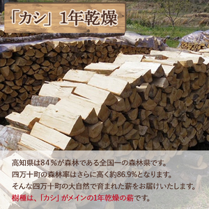 四万十の薪 1年乾燥 カシ他(約20kg)×10箱 Bnm-25／ アウトドア キャンプ 薪