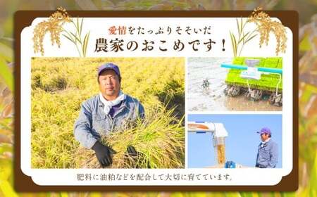 日永園 ヒノヒカリ 白米3kg 【2025年11月下旬より発送予定】 米 お米 ご飯  うきは市