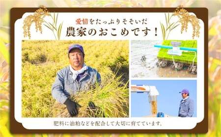 【12ヶ月定期便】日永園 ヒノヒカリ 玄米 10kg×12ヶ月 【2025年11月下旬より発送予定】 米 お米 ご飯  うきは市