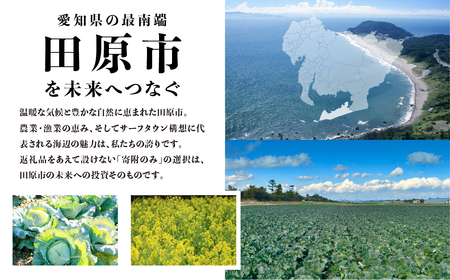 《返礼品なし》愛知県田原市への寄付 5,000,000円分 応援寄附金 応援 選べる 金額 使い道 愛知県 田原市 渥美半島