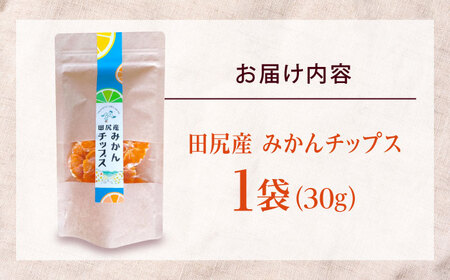 みかん 田尻産 みかんチップス 1袋 [BAGS003] みかん