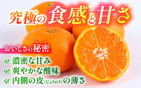 【先行予約】 旨み凝縮！ 飛龍台木 白川 温州 みかん 2Lサイズ 約5kg 山鹿市産　【小春農園】[ZBN010]