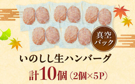 猪肉の生ハンバーグ 計10個（120g×2個入り×5パック） / 佐賀県 / ジビエ唐津 [41ABAG005]