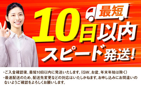トイレットペーパー 2倍巻ダブル（ホワイト）12ロール×2パック入 / トイレットティシュー 日用品 紙 / 佐賀県 [41AHAA007]