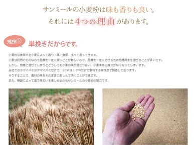 1226 岐阜県産準強力粉（タマイズミ１等粉）10kg