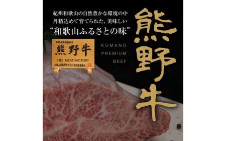熊野牛 焼肉懐石 4種盛り