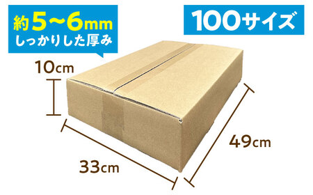 ダンボール 10枚 49×33×10cm 100サイズ【バイオドットコム】 段ボール 梱包用[MGP013]