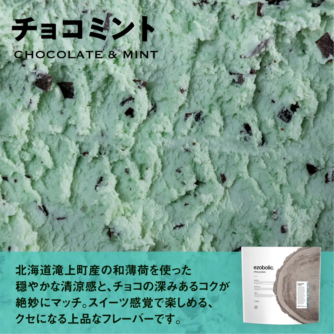 【定期便3回】チョコミント風味 EZOBOLIC プロテイン 1kg
